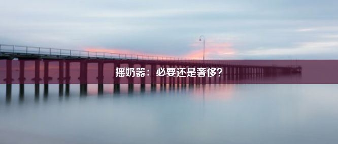 摇奶器：必要还是奢侈？