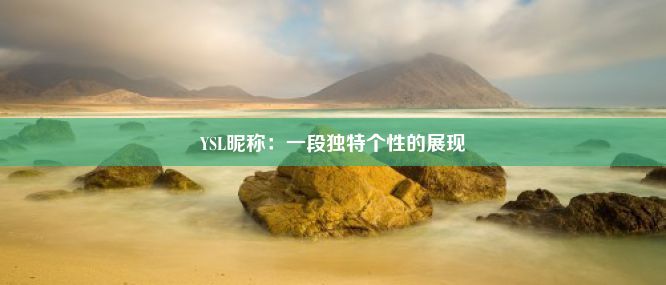 YSL昵称：一段独特个性的展现