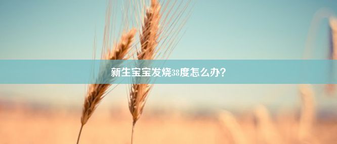 新生宝宝发烧38度怎么办？