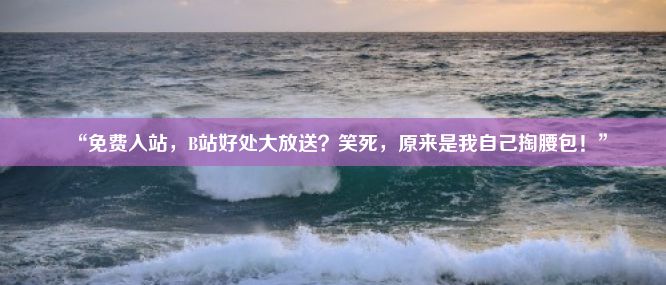 “免费入站，B站好处大放送？笑死，原来是我自己掏腰包！”