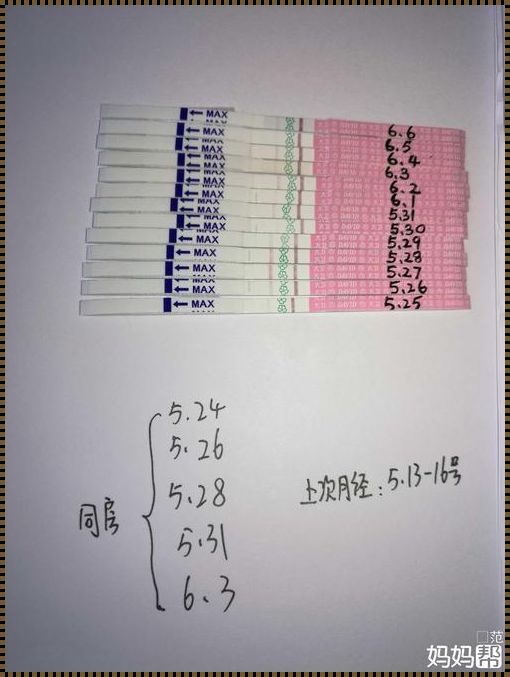 排卵期试纸阴性是什么意思《排卵试纸测到阴性是什么意思》