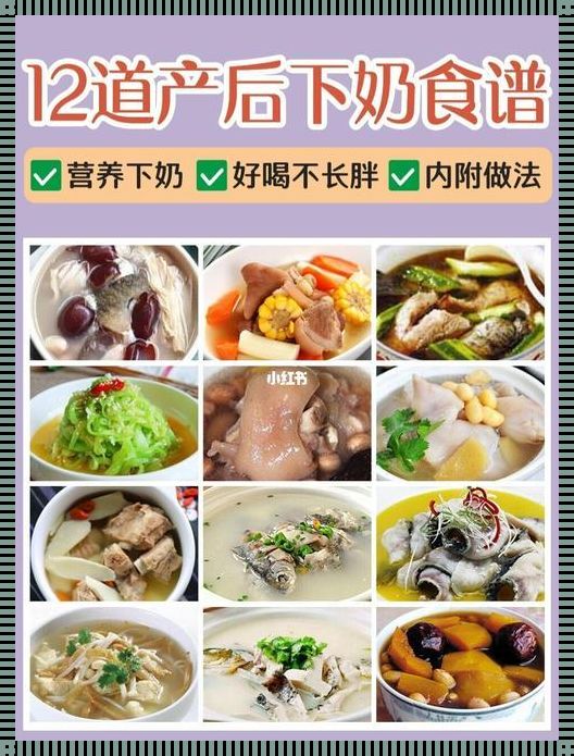 下奶食物-产后食谱:5款下奶汤