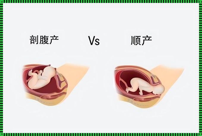 剖腹产后子宫前后径多少正常《子宫前位大小约多少mm是正常的》