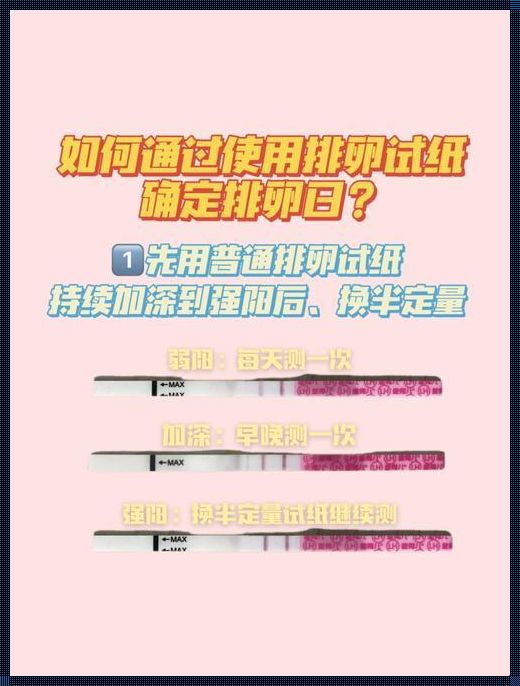 排卵试纸怎么使用(大卫排卵试纸怎么使用?)