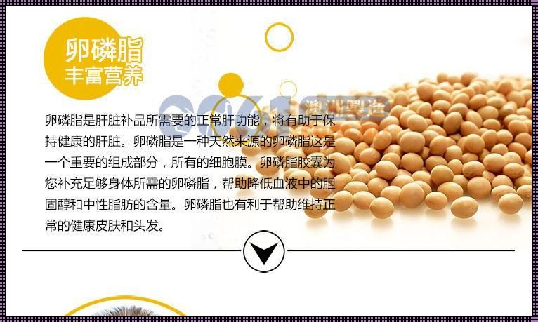 卵磷脂的十大功效与作用《卵磷脂的功效与作用及食用方法》