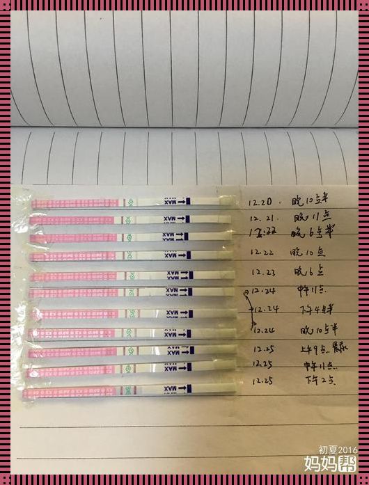 排卵期怎么知道自己排卵了 如何知道排卵期有没有排卵