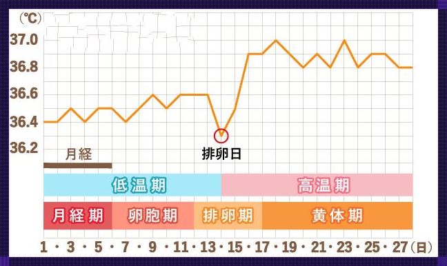 如何准确计算排卵期：方法与建议