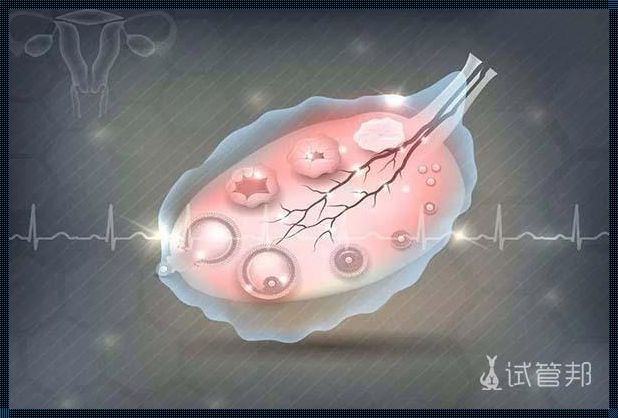 卵子排出的六个征兆：备孕之路上的惊喜