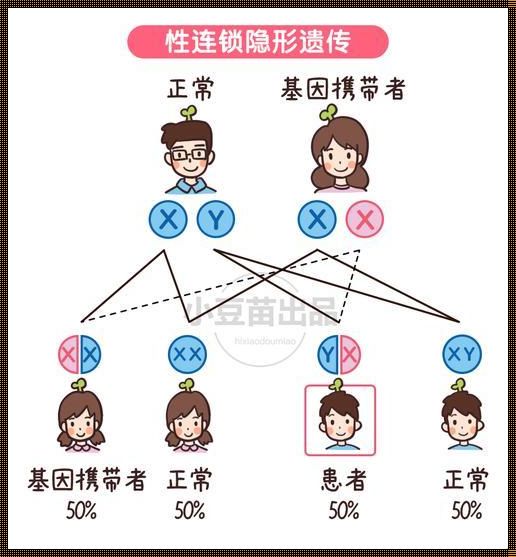 遗传基因：人类智慧的密码