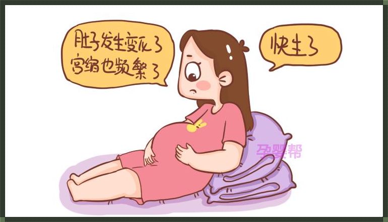 怀孕晚期：生命的奇迹与挑战