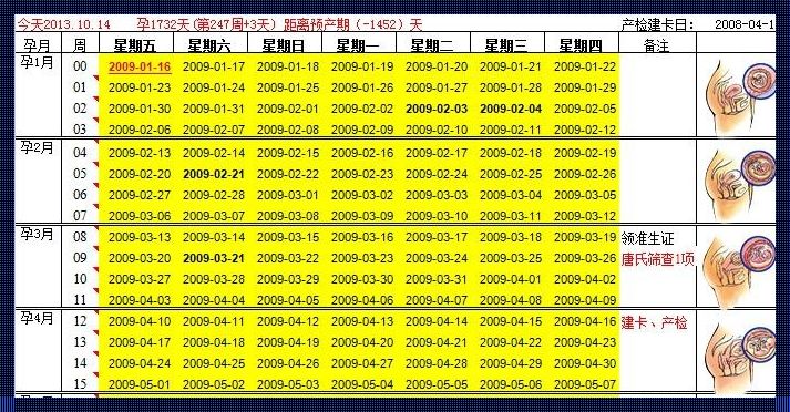 太平洋亲子网孕周计算：无比准确的怀孕助手