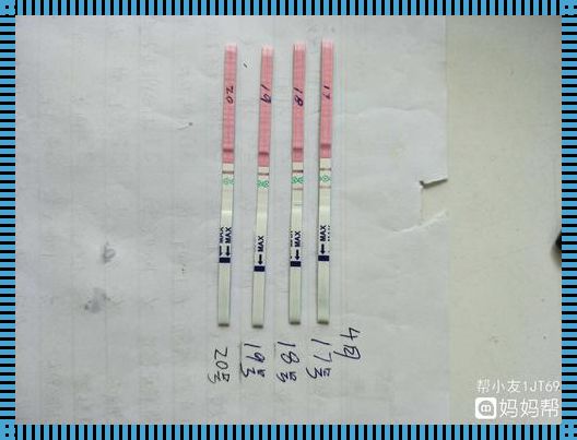 备孕路上的困惑与解答