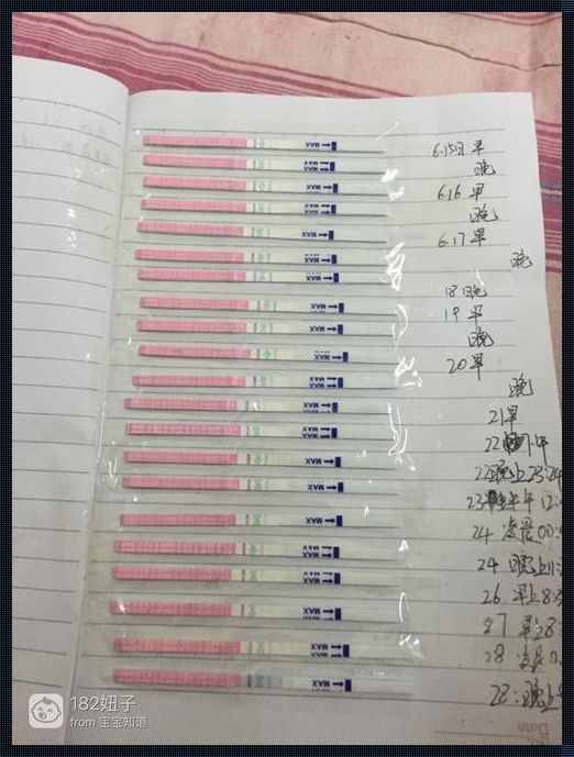 弱阳不尽然，排卵藏玄机