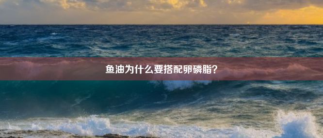 鱼油为什么要搭配卵磷脂？