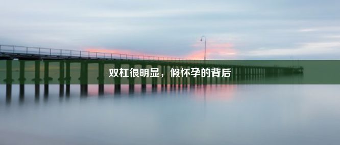 双杠很明显，假怀孕的背后