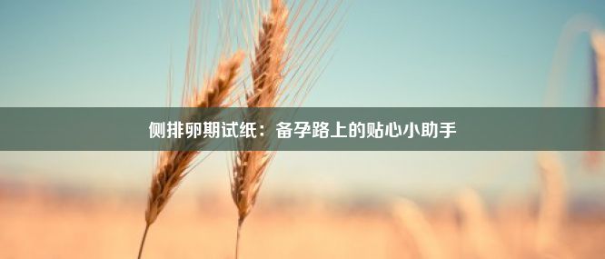 侧排卵期试纸：备孕路上的贴心小助手