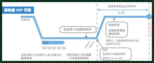 解密来曲唑促排卵原理，备孕路上的惊喜之光