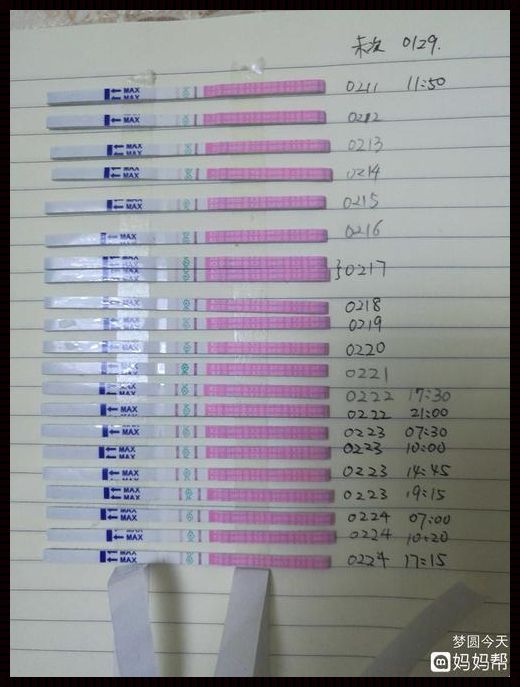 探寻排卵试纸最佳检测时机：助你备孕事半功倍