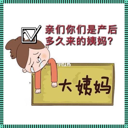 产后月经归来，时光荏苒，经验同行