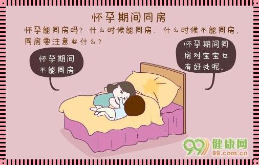 《孕育生命：探寻怀孕的秘诀》