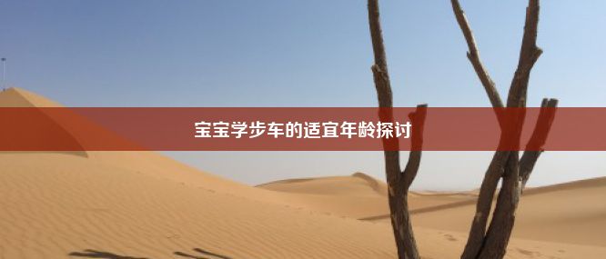 宝宝学步车的适宜年龄探讨