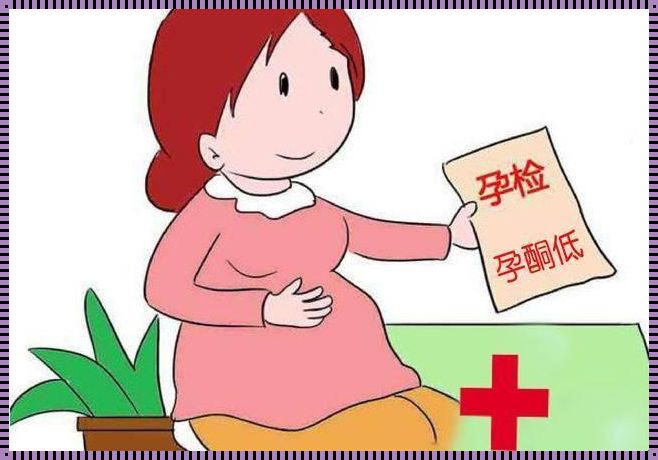 备孕“务必”做检查，花费几何？