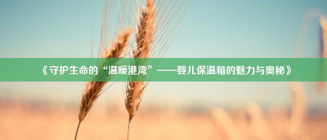 《守护生命的“温暖港湾”——婴儿保温箱的魅力与奥秘》