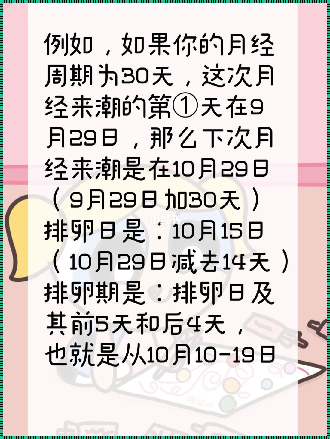 揭秘排卵期：备孕夫妇必知的秘密时刻