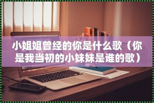 《妹妹受不了，我听到你再叫是什么歌》