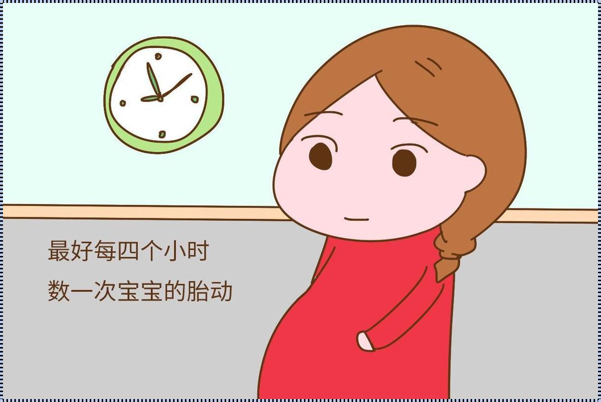 六个月女宝胎动特点：孕育生命的美妙体验