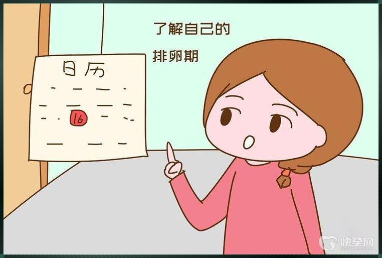 排卵期“一键开启”怀孕模式？揭秘备孕之谜！