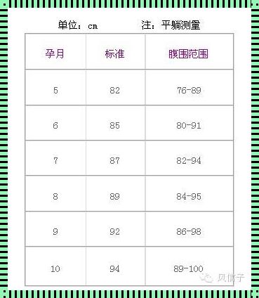 《子宫底高度与孕周：亲密接触的生命旋律》