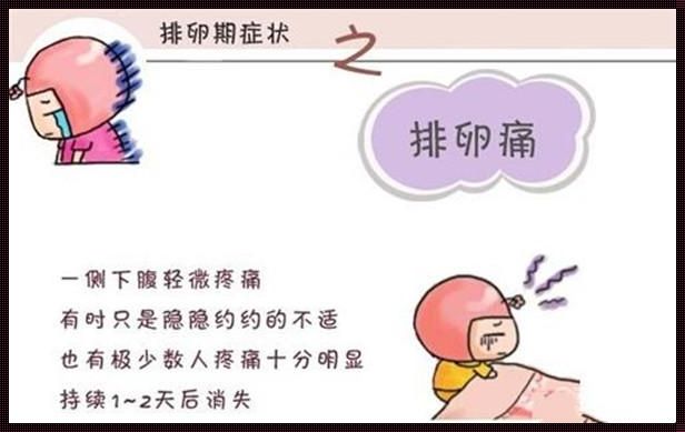 排卵期的秘密：你知多少？