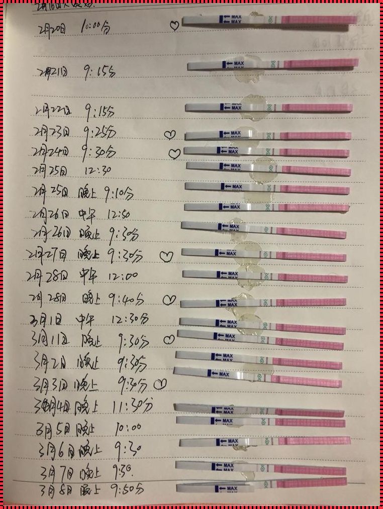 教你识别排卵，掌握生育秘籍