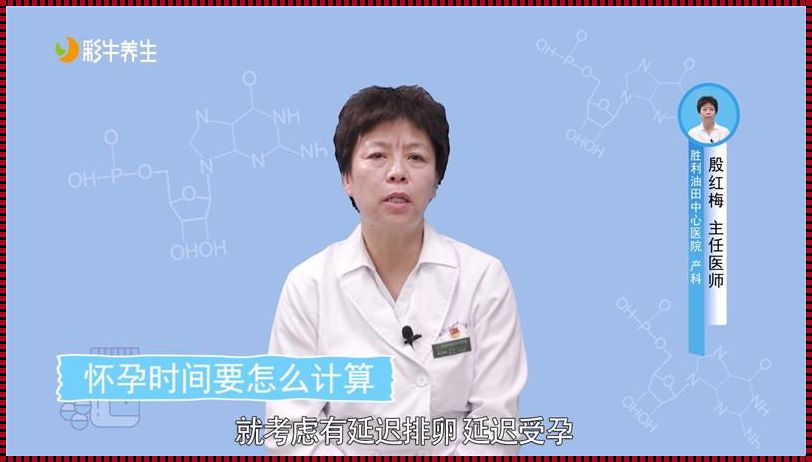 《妊娠计时：了解怀孕天数的方法与意义》