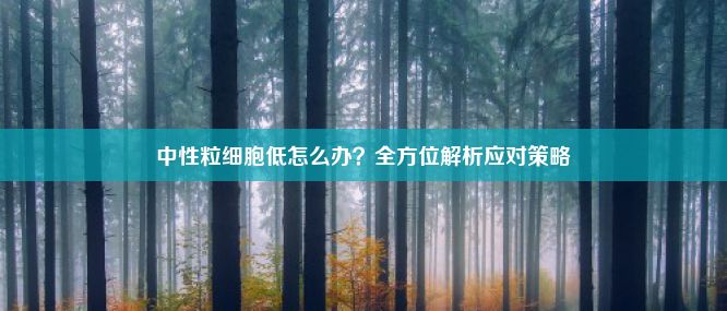 中性粒细胞低怎么办？全方位解析应对策略