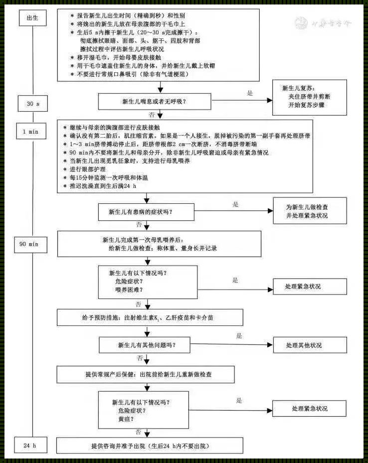 新生儿娩出后的“平衡”艺术