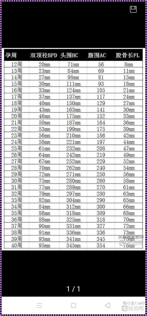 孕期39周胎儿标准数据揭秘
