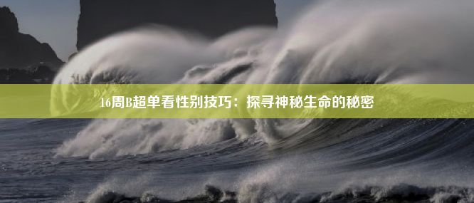 16周B超单看性别技巧：探寻神秘生命的秘密