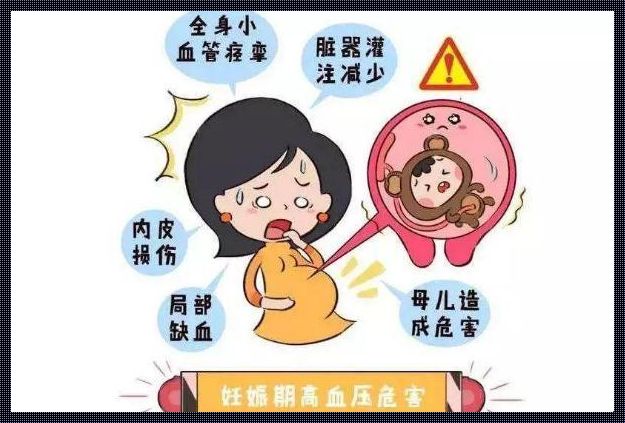 孕期血压降低的原因解析