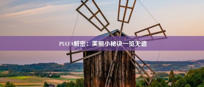  PUCCA解密：美丽小秘诀一览无遗