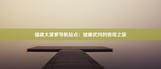 福建大菠萝导航站点：健康武冈的惊现之旅