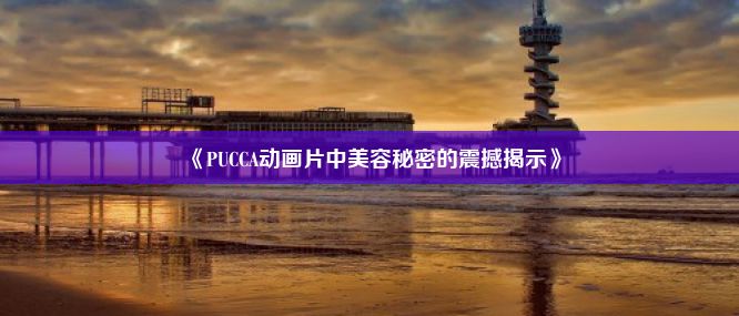 《PUCCA动画片中美容秘密的震撼揭示》