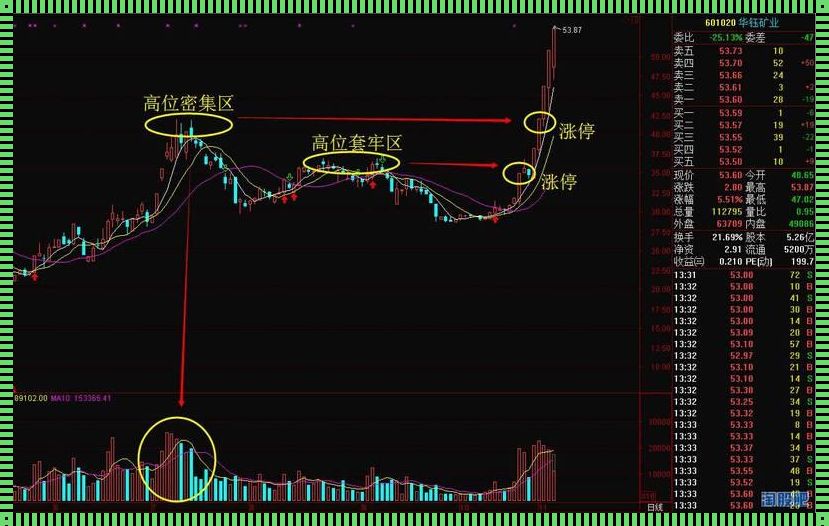 健康涨停撞顶，吉林市惊现投资奇观！