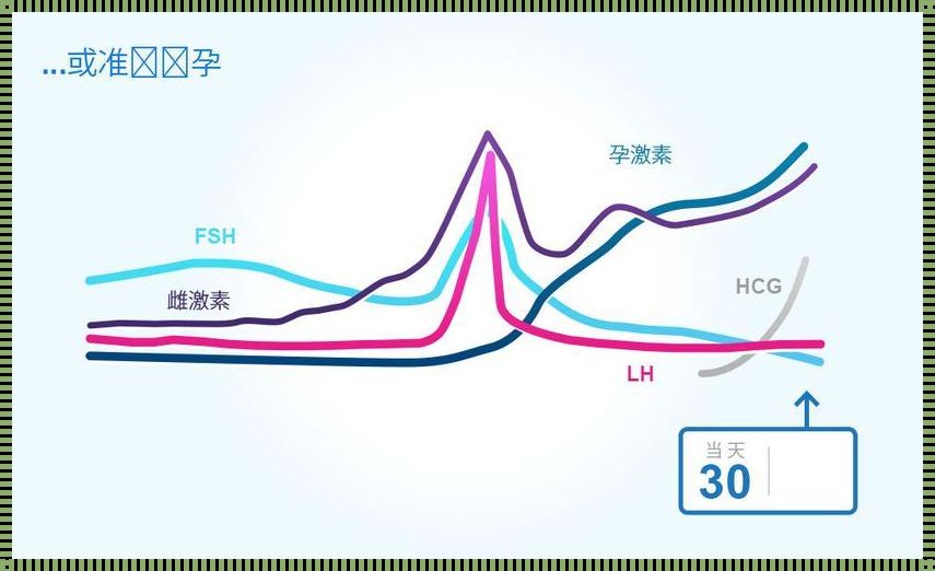 产后雌激素恢复探秘：时间与影响因素