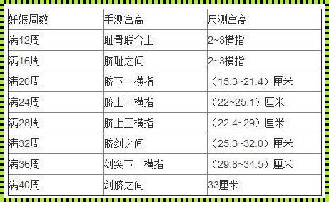 产后宫底下降高度对照表：为你揭示产后恢复的奥秘