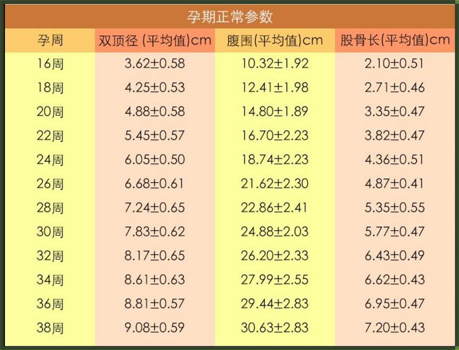 《四维公式探秘：胎儿体重估算新视角》