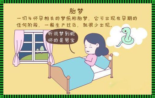 《孕期梦解析：怀孕几周做的胎梦最准》