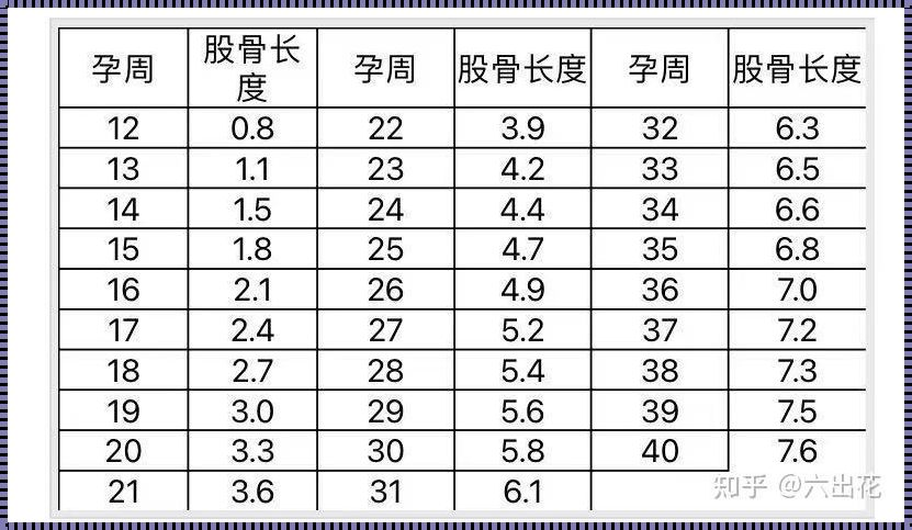 胎儿头臀长31mm，解密孕期奥秘