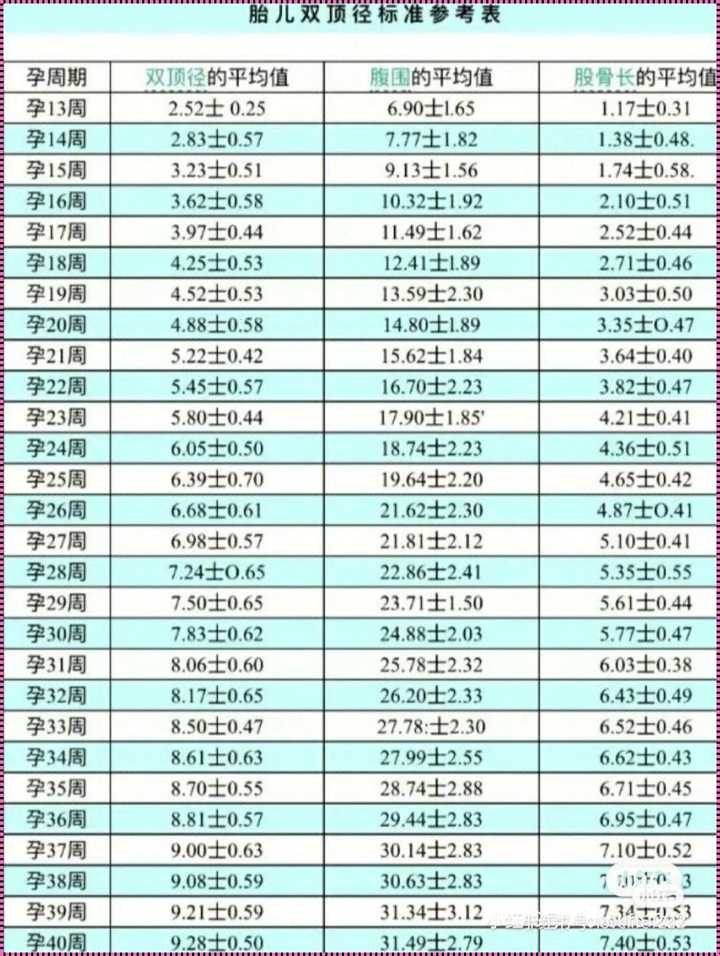 胎儿腹围与胎儿大小的关系探究